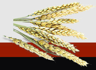 EVO厅·(中国区)视讯官网