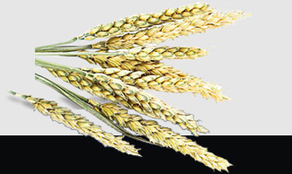 EVO厅·(中国区)视讯官网