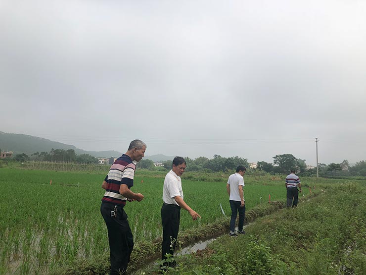 EVO厅·(中国区)视讯官网