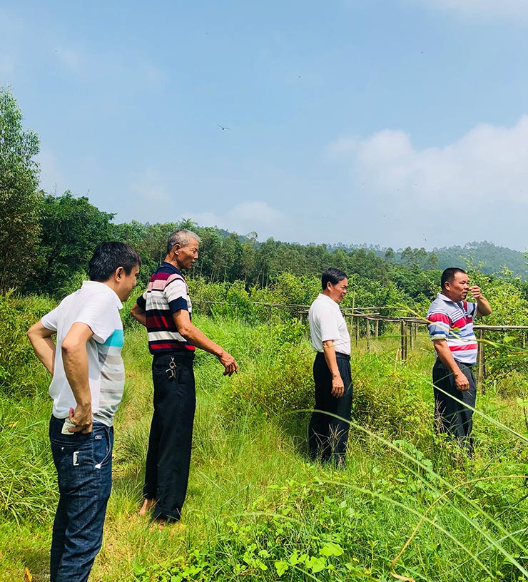 EVO厅·(中国区)视讯官网