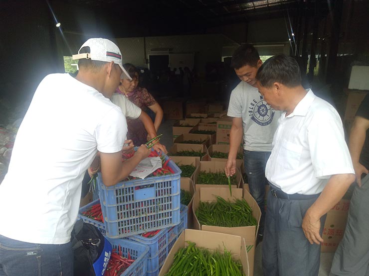 EVO厅·(中国区)视讯官网