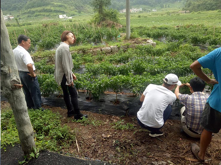 EVO厅·(中国区)视讯官网