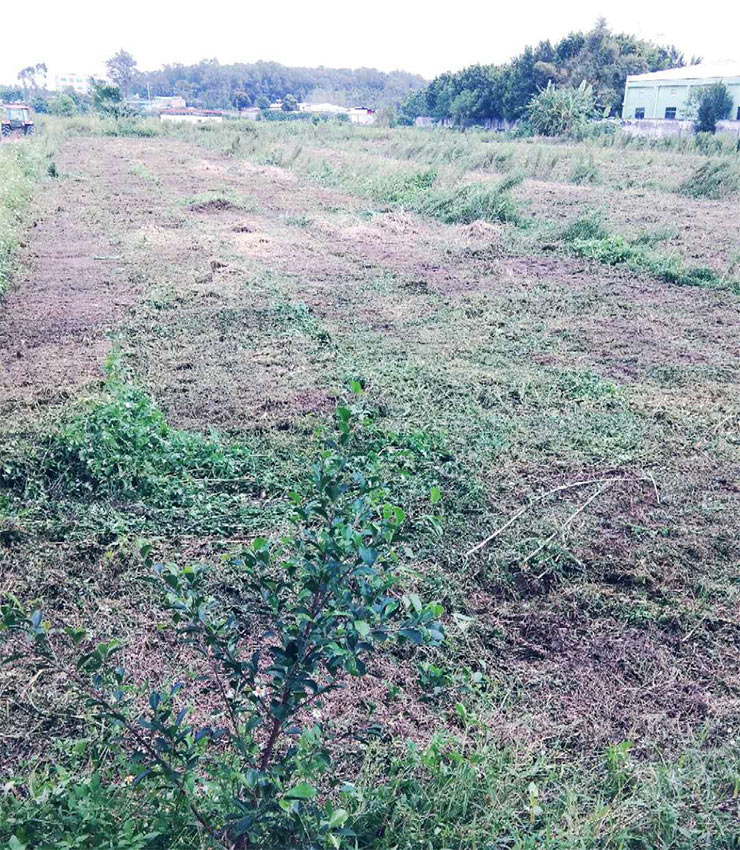 EVO厅·(中国区)视讯官网