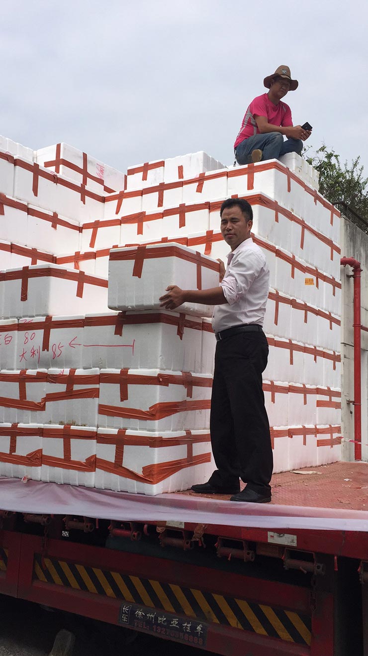 EVO厅·(中国区)视讯官网