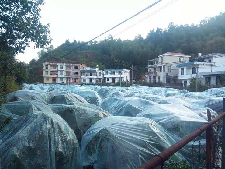 EVO厅·(中国区)视讯官网