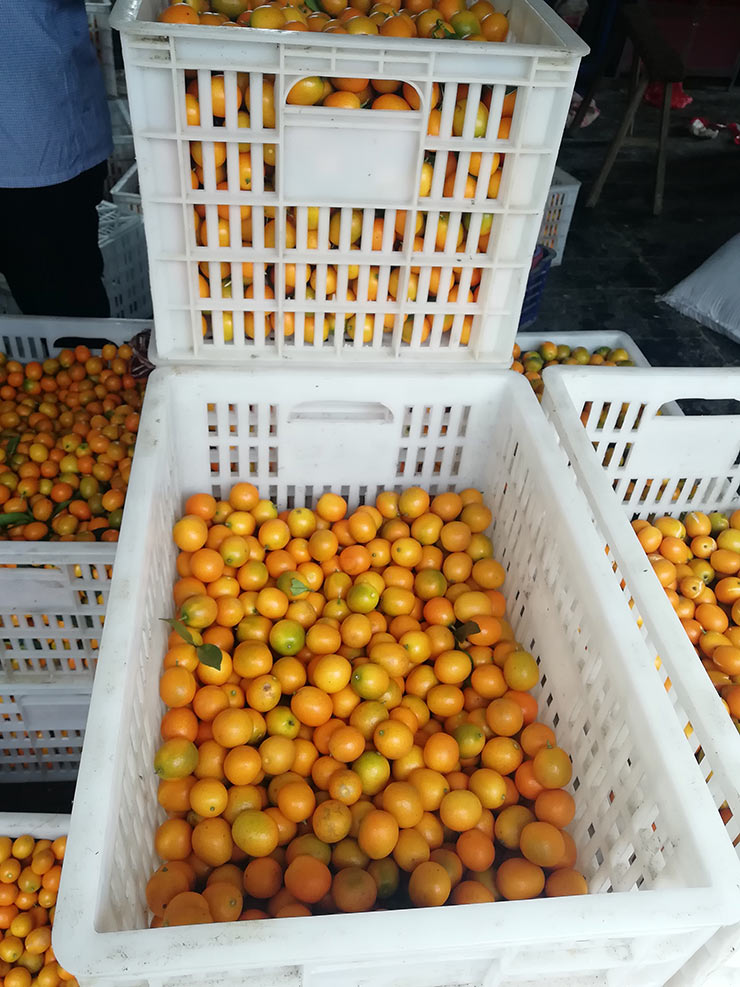 EVO厅·(中国区)视讯官网