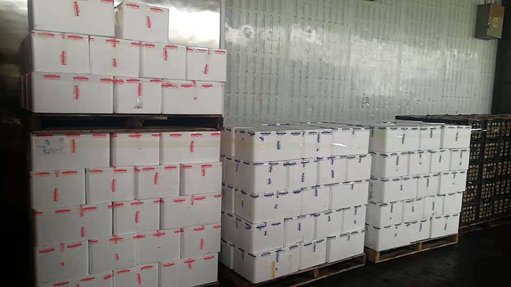 EVO厅·(中国区)视讯官网