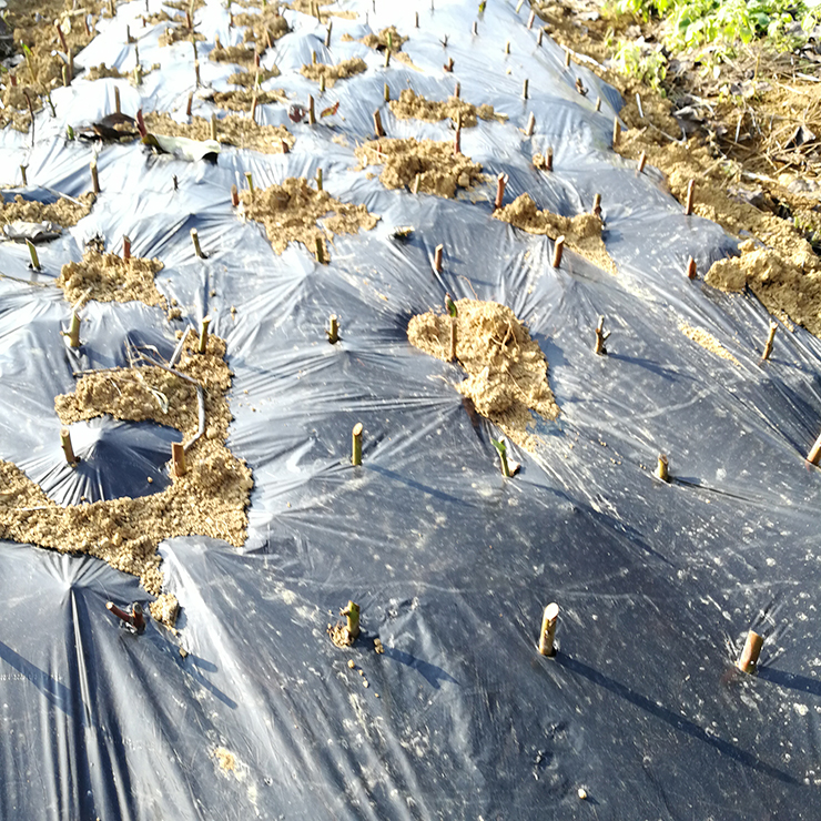 EVO厅·(中国区)视讯官网