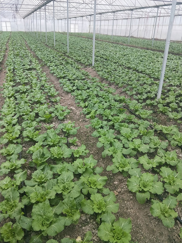 EVO厅·(中国区)视讯官网