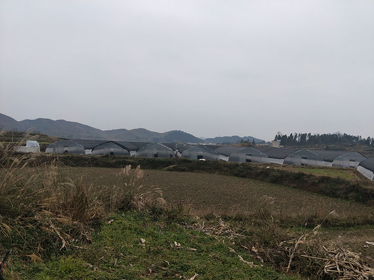 EVO厅·(中国区)视讯官网