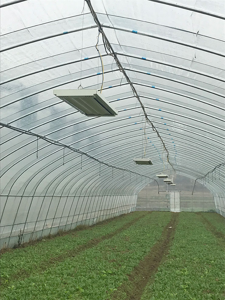 EVO厅·(中国区)视讯官网