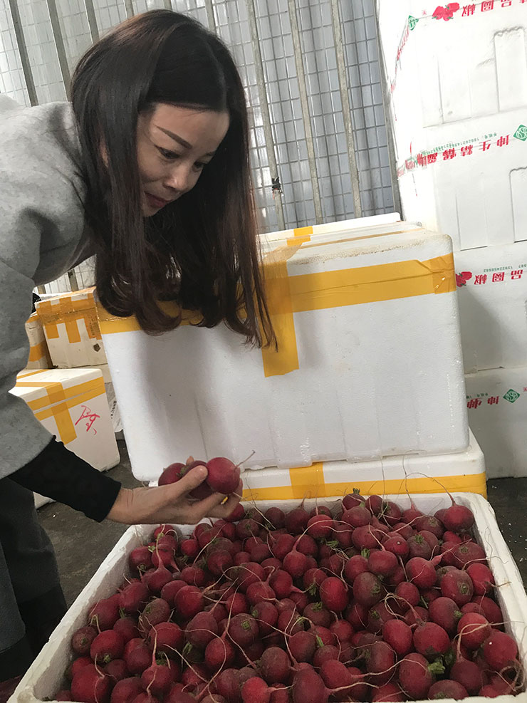 EVO厅·(中国区)视讯官网