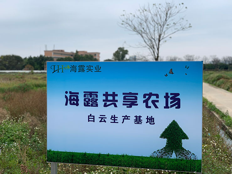 EVO厅·(中国区)视讯官网