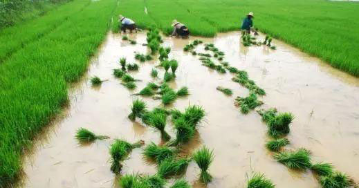 EVO厅·(中国区)视讯官网