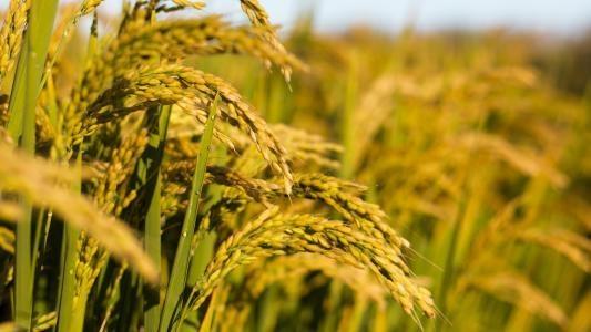 EVO厅·(中国区)视讯官网