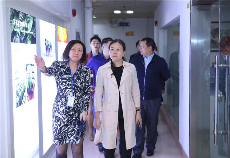 EVO厅·(中国区)视讯官网