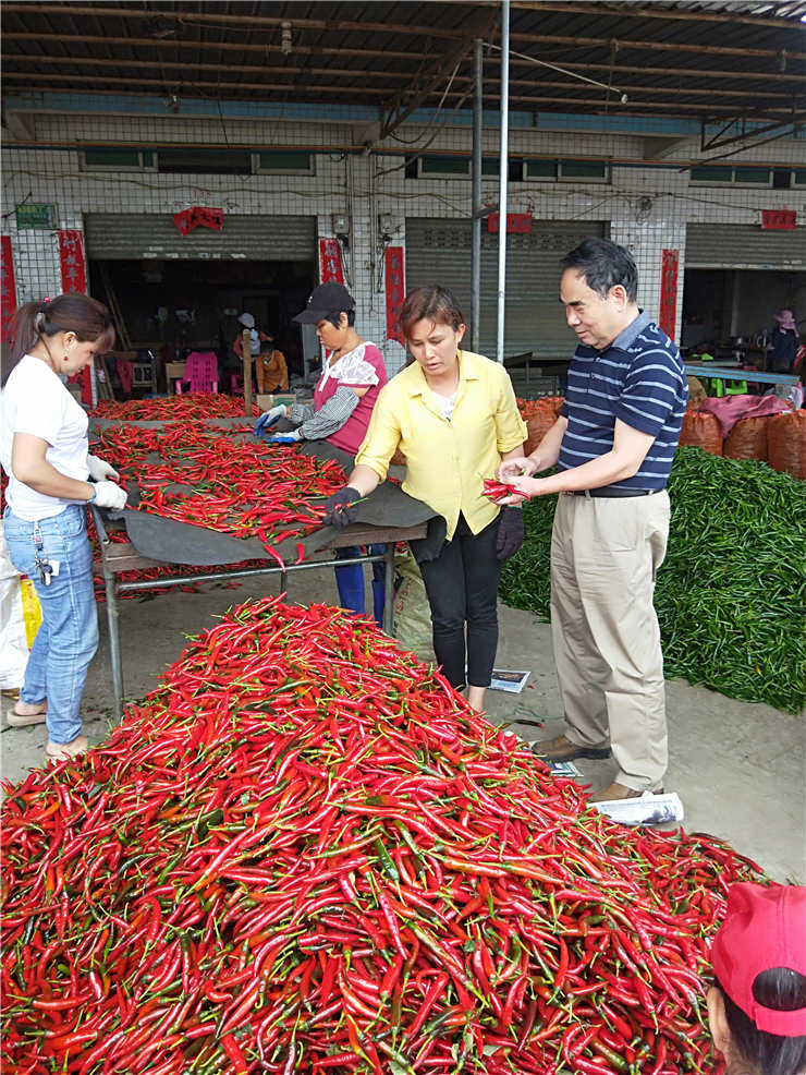 EVO厅·(中国区)视讯官网