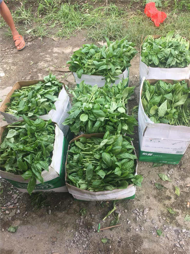 EVO厅·(中国区)视讯官网