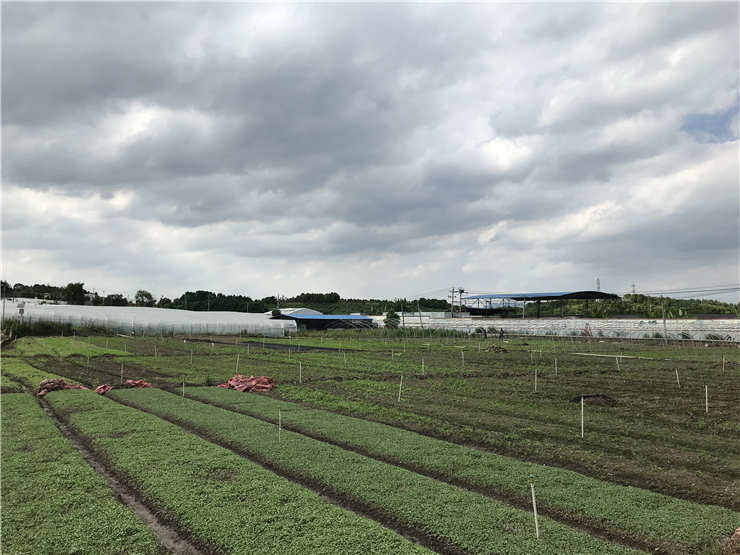 EVO厅·(中国区)视讯官网