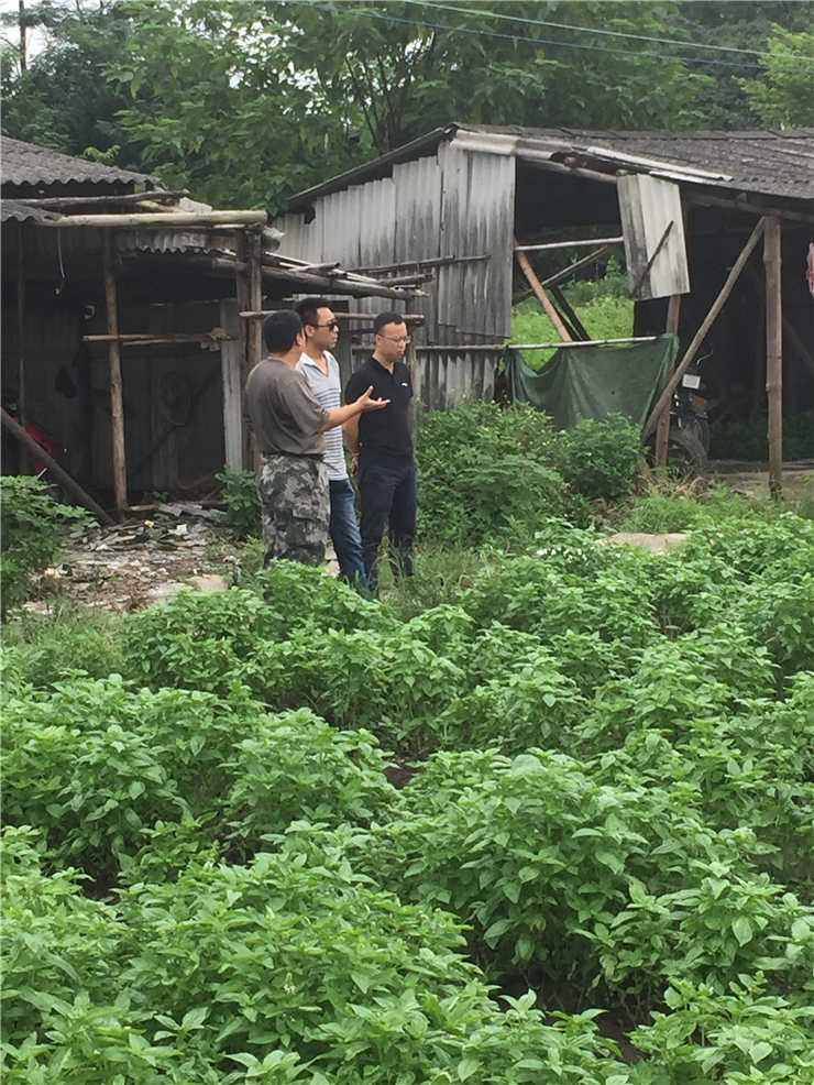 EVO厅·(中国区)视讯官网