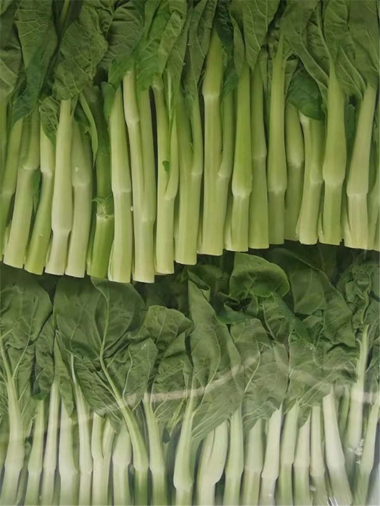 EVO厅·(中国区)视讯官网