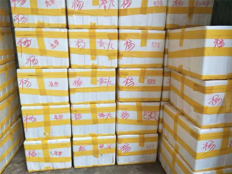 EVO厅·(中国区)视讯官网