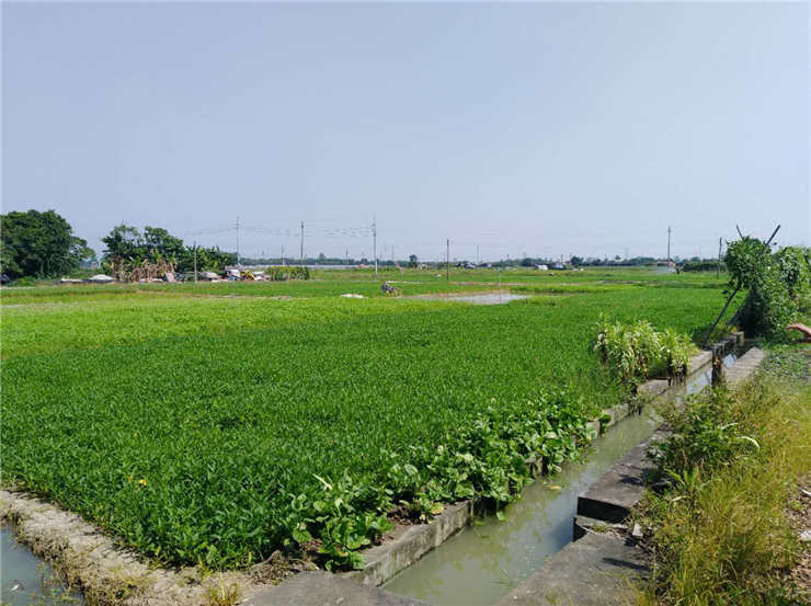 EVO厅·(中国区)视讯官网