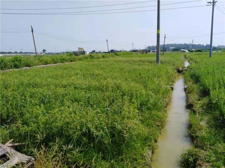 EVO厅·(中国区)视讯官网