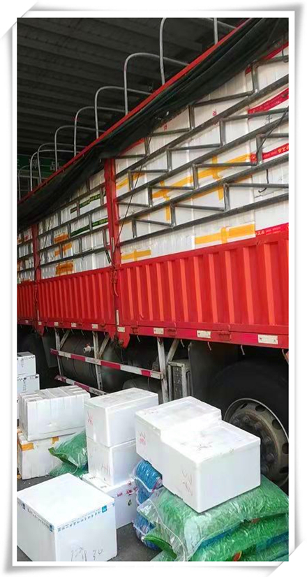 EVO厅·(中国区)视讯官网