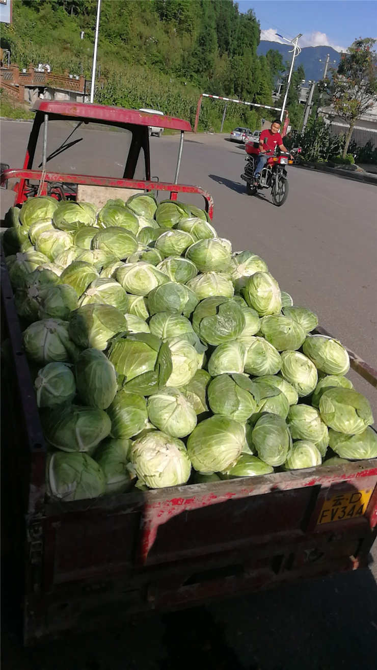 EVO厅·(中国区)视讯官网