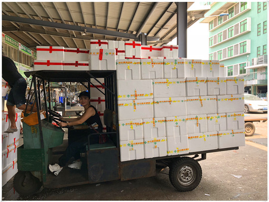 EVO厅·(中国区)视讯官网