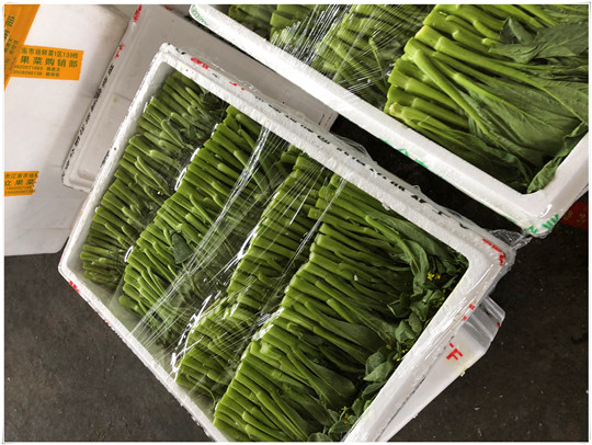 EVO厅·(中国区)视讯官网