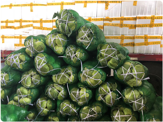 EVO厅·(中国区)视讯官网