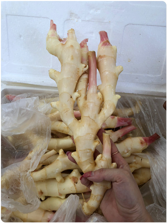 EVO厅·(中国区)视讯官网