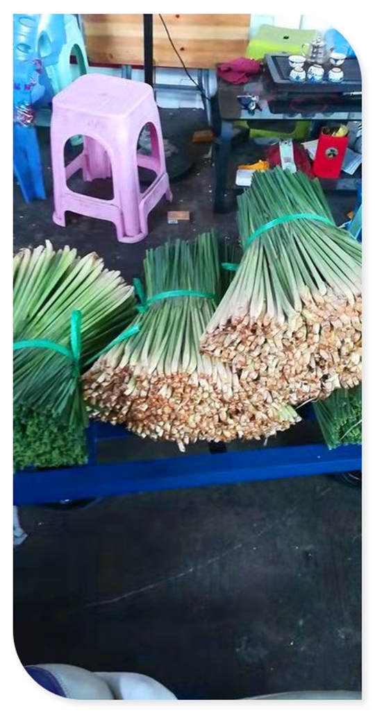 EVO厅·(中国区)视讯官网