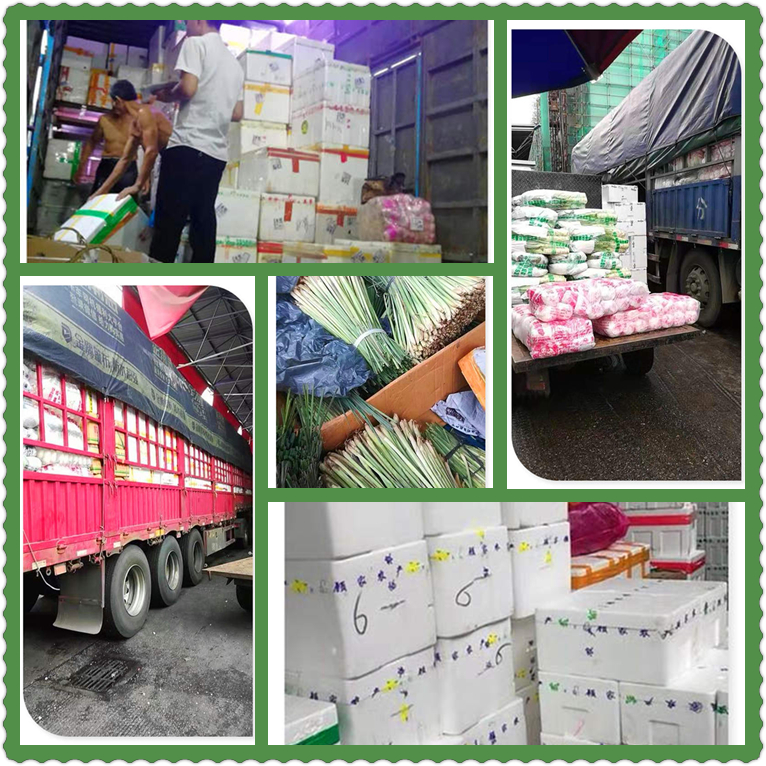 EVO厅·(中国区)视讯官网