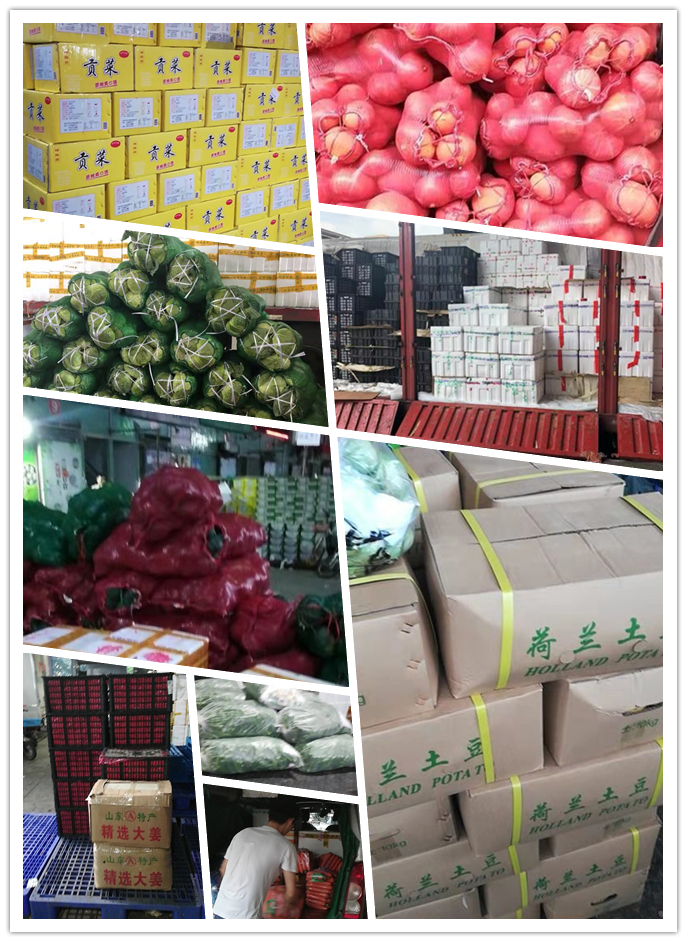 EVO厅·(中国区)视讯官网