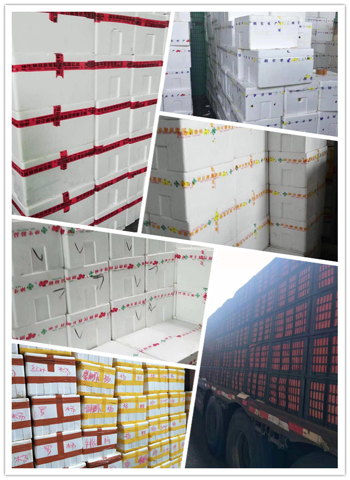 EVO厅·(中国区)视讯官网