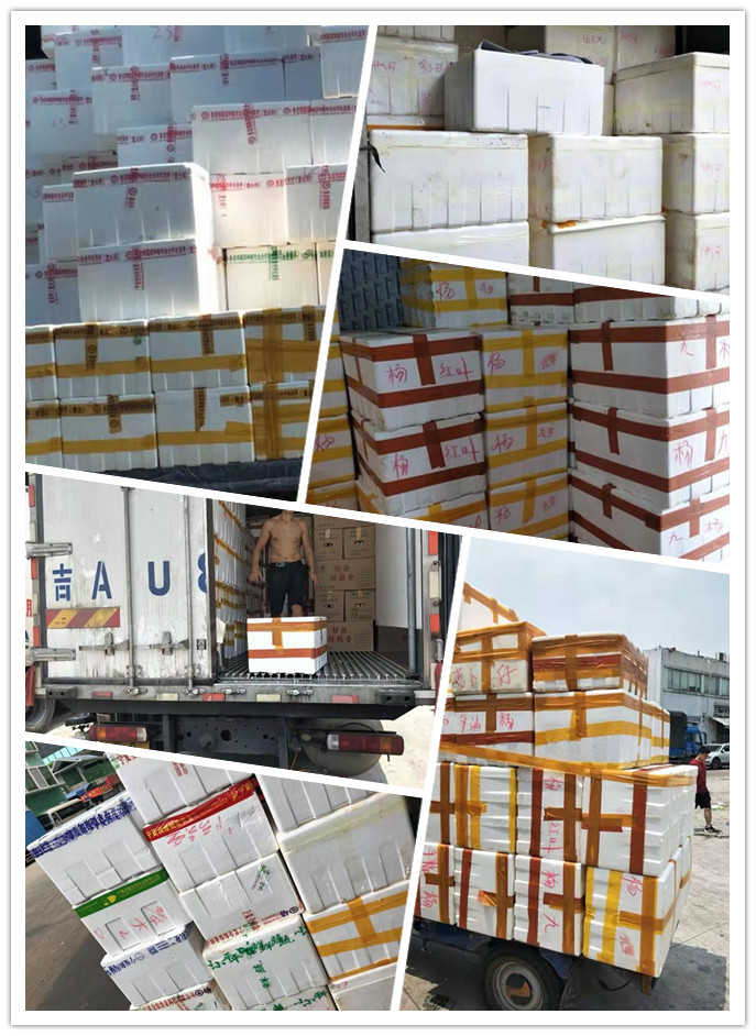 EVO厅·(中国区)视讯官网