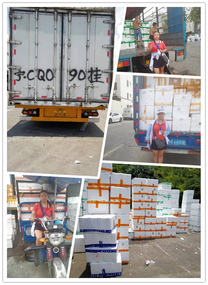 EVO厅·(中国区)视讯官网