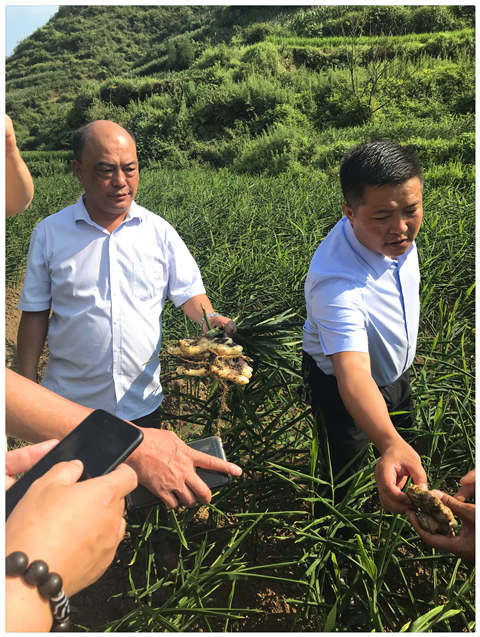 EVO厅·(中国区)视讯官网