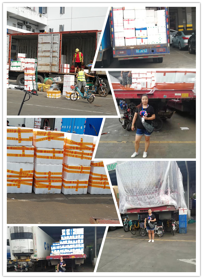 EVO厅·(中国区)视讯官网