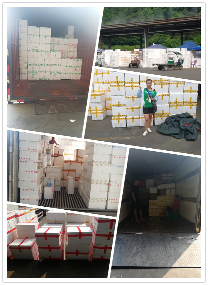 EVO厅·(中国区)视讯官网