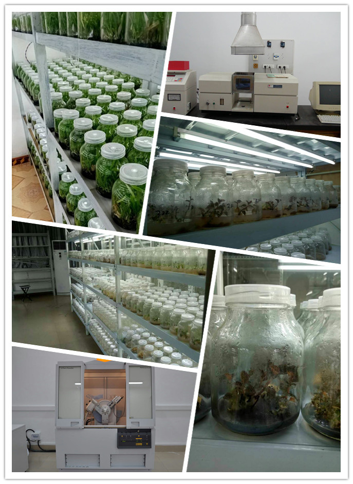 EVO厅·(中国区)视讯官网