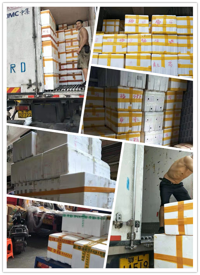 EVO厅·(中国区)视讯官网