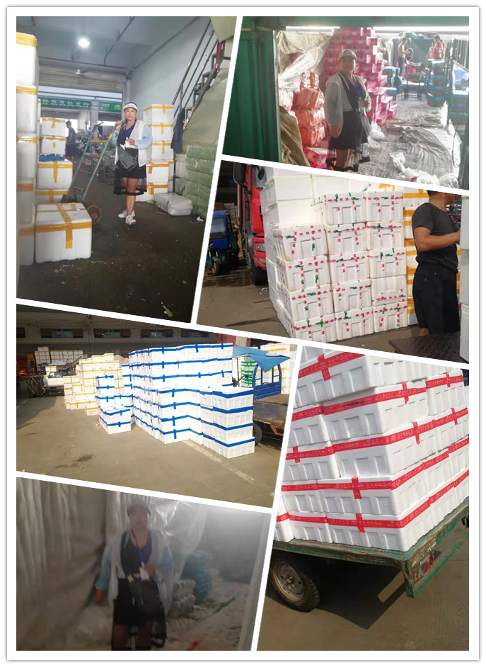 EVO厅·(中国区)视讯官网