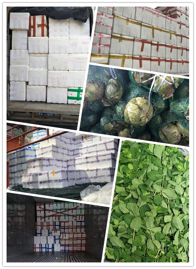 EVO厅·(中国区)视讯官网