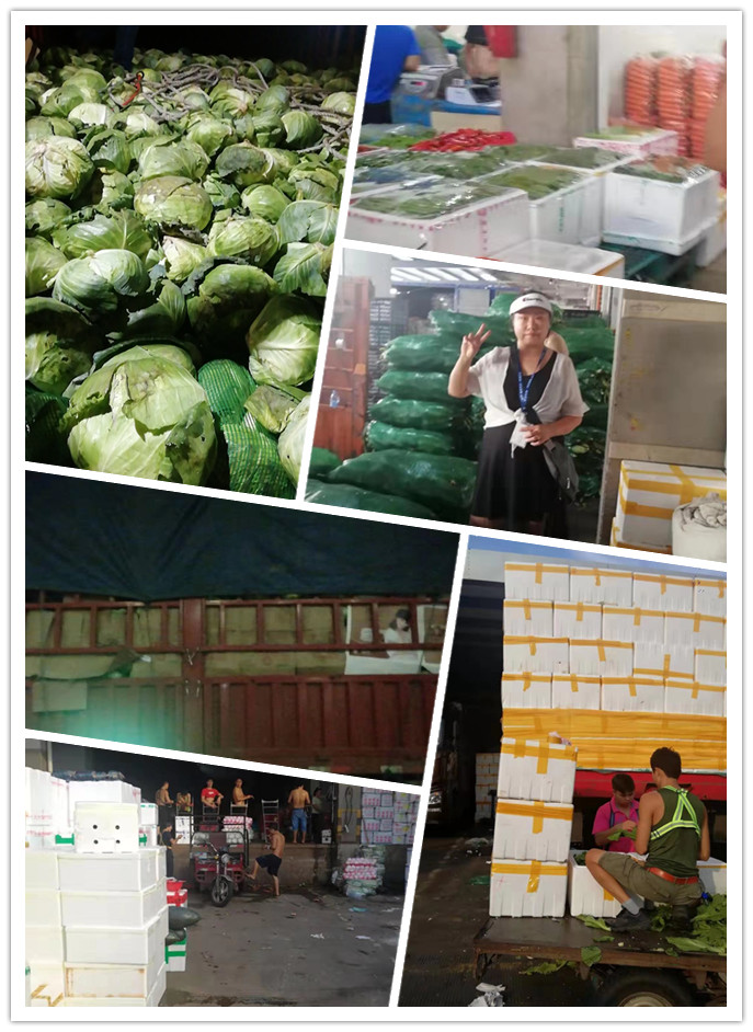 EVO厅·(中国区)视讯官网