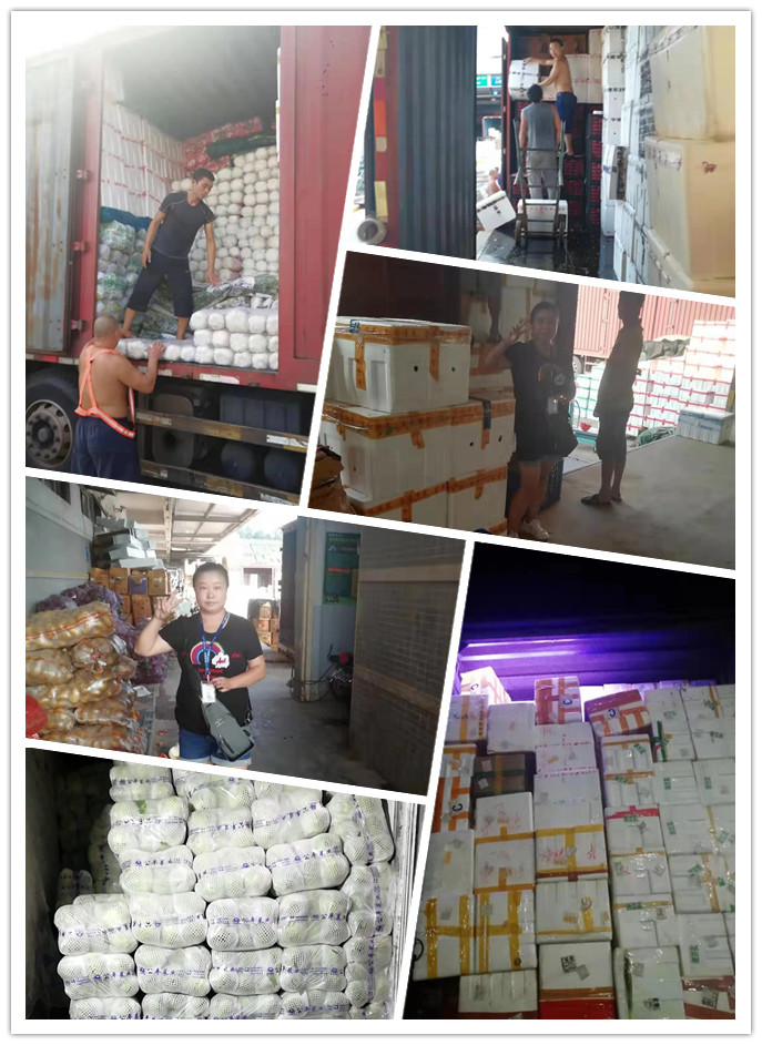 EVO厅·(中国区)视讯官网