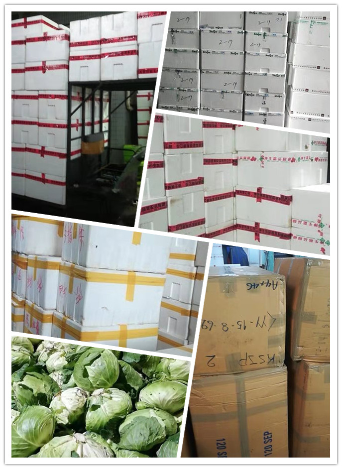 EVO厅·(中国区)视讯官网